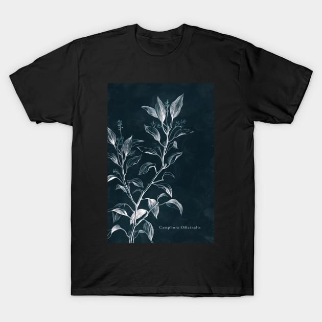 Cyanotype - Camphora Officinalis - C T-Shirt by PixelHunter